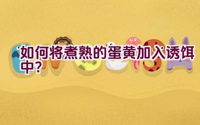 如何将煮熟的蛋黄加入诱饵中？插图
