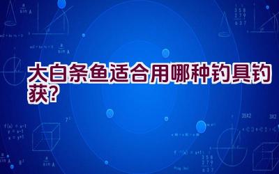 大白条鱼适合用哪种钓具钓获？插图