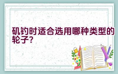 矶钓时适合选用哪种类型的轮子？插图
