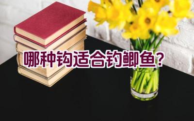 哪种钩适合钓鲫鱼？插图