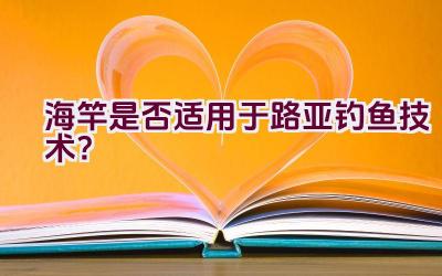 海竿是否适用于路亚钓鱼技术？插图