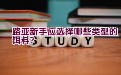 路亚新手应选择哪些类型的饵料？插图