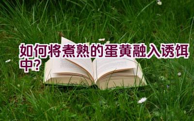 如何将煮熟的蛋黄融入诱饵中？插图