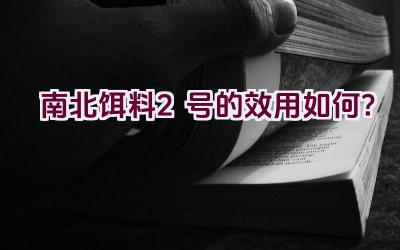 南北饵料2号的效用如何？插图