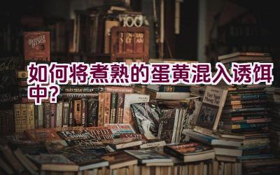 如何将煮熟的蛋黄混入诱饵中？插图