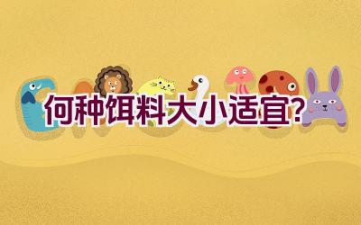 何种饵料大小适宜？插图