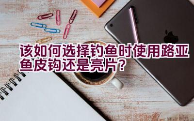 该如何选择钓鱼时使用路亚鱼皮钩还是亮片？插图