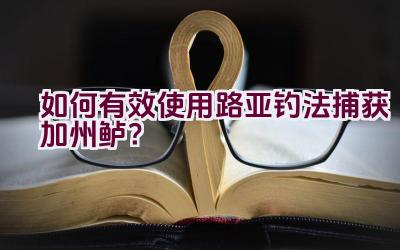 如何有效使用路亚钓法捕获加州鲈？插图