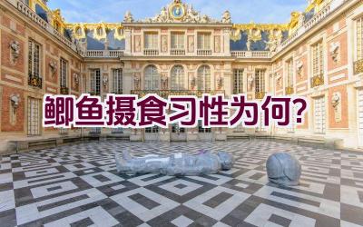 鲫鱼摄食习性为何？插图