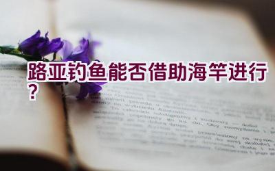 路亚钓鱼能否借助海竿进行？插图
