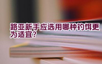 路亚新手应选用哪种钓饵更为适宜？插图