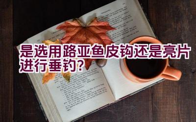 是选用路亚鱼皮钩还是亮片进行垂钓？插图