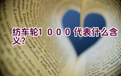 纺车轮1000代表什么含义？插图