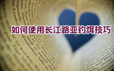 “如何使用长江路亚钓饵技巧”插图
