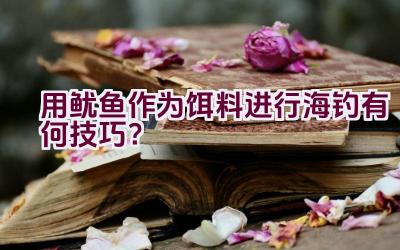 用鱿鱼作为饵料进行海钓有何技巧？插图