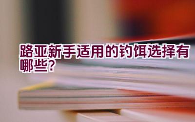 路亚新手适用的钓饵选择有哪些？插图