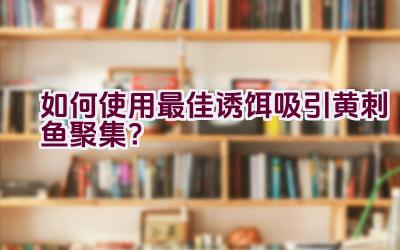 如何使用最佳诱饵吸引黄刺鱼聚集？插图