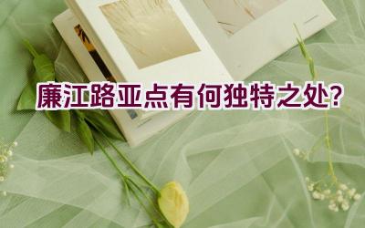 廉江路亚点有何独特之处？插图