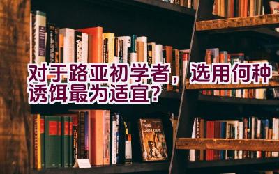 对于路亚初学者，选用何种诱饵最为适宜？插图
