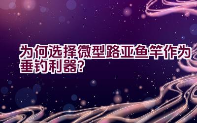 为何选择微型路亚鱼竿作为垂钓利器？插图