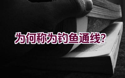 “为何称为钓鱼通线？”插图