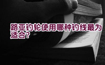 路亚钓轮使用哪种钓线最为适合？插图