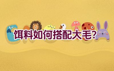 饵料如何搭配大毛？插图