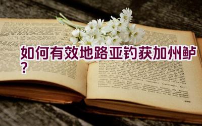 如何有效地路亚钓获加州鲈？插图