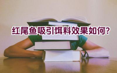 红尾鱼吸引饵料效果如何？插图