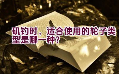 矶钓时，适合使用的轮子类型是哪一种？插图