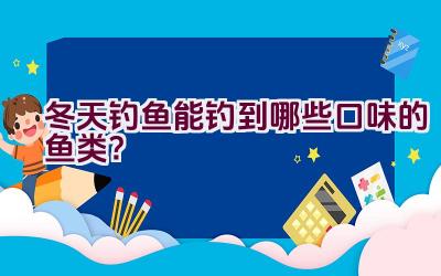 冬天钓鱼能钓到哪些口味的鱼类？插图