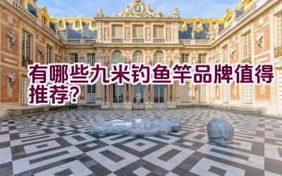 有哪些九米钓鱼竿品牌值得推荐？插图