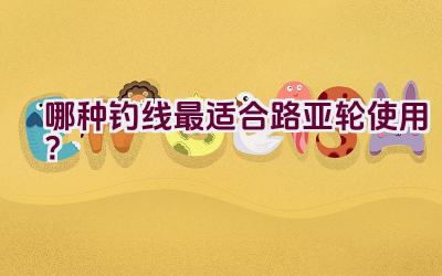 哪种钓线最适合路亚轮使用?插图 哪种钓线最适合路亚轮使用?插图