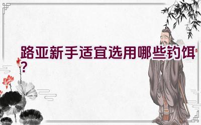 路亚新手适宜选用哪些钓饵？插图
