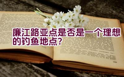 廉江路亚点是否是一个理想的钓鱼地点？插图