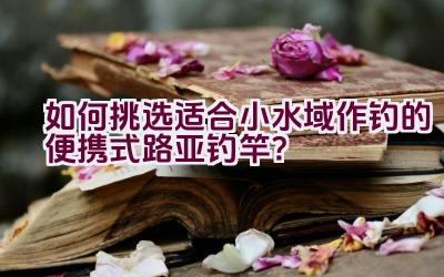 如何挑选适合小水域作钓的便携式路亚钓竿？插图