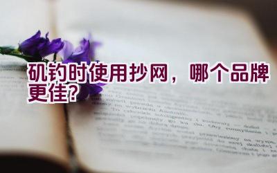 矶钓时使用抄网，哪个品牌更佳？插图