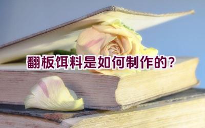 翻板饵料是如何制作的？插图