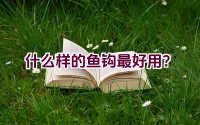 什么样的鱼钩最好用？插图