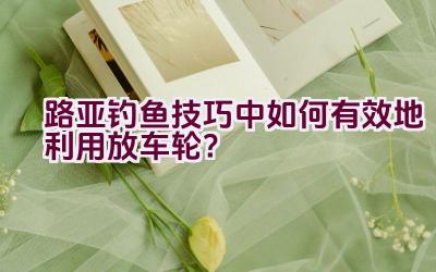 路亚钓鱼技巧中如何有效地利用放车轮？插图
