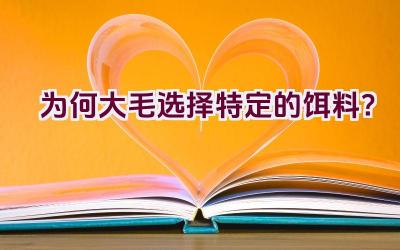 为何大毛选择特定的饵料？插图