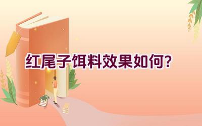 红尾子饵料效果如何？插图