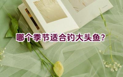 哪个季节适合钓大头鱼？插图