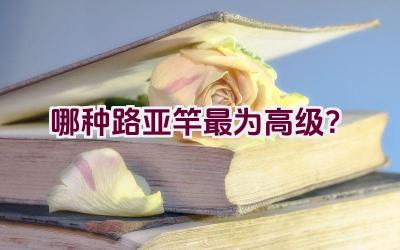 哪种路亚竿最为高级?插图 哪种路亚竿最为高级?插图