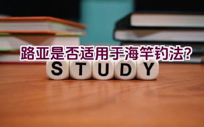 路亚是否适用于海竿钓法？插图