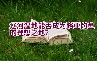 辽河湿地能否成为路亚钓鱼的理想之地？插图