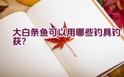 大白条鱼可以用哪些钓具钓获？插图