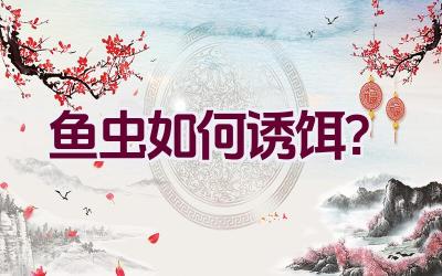 鱼虫如何诱饵？插图