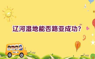 辽河湿地能否路亚成功？插图