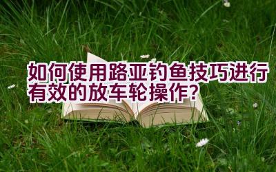 如何使用路亚钓鱼技巧进行有效的放车轮操作？插图